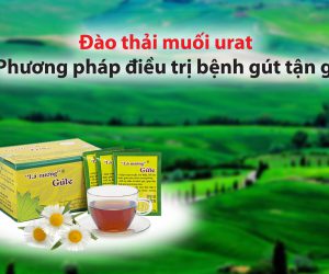 Sử dụng Gout Lá Nương có khỏi Gút không?