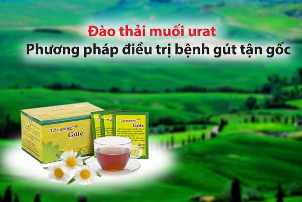 Gout Lá Nương đào thải tinh thể muối urat. Hỗ trợ bệnh gout tận gốc