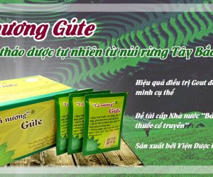 Tại sao nên dùng Gout Lá nương? Sử dụng bao lâu cho bệnh Gút?