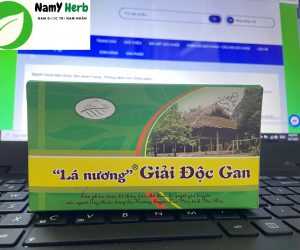 Lá nương giải độc gan có cơ sở khoa học gì!